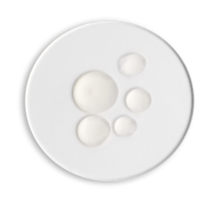Rice Peptides