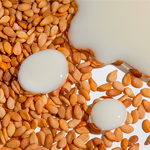 Sesame Milk