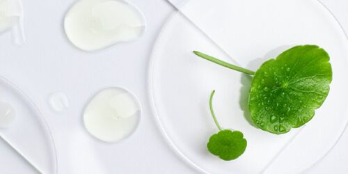 Ingredients with soothing properties