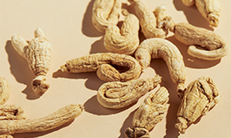 Ginseng